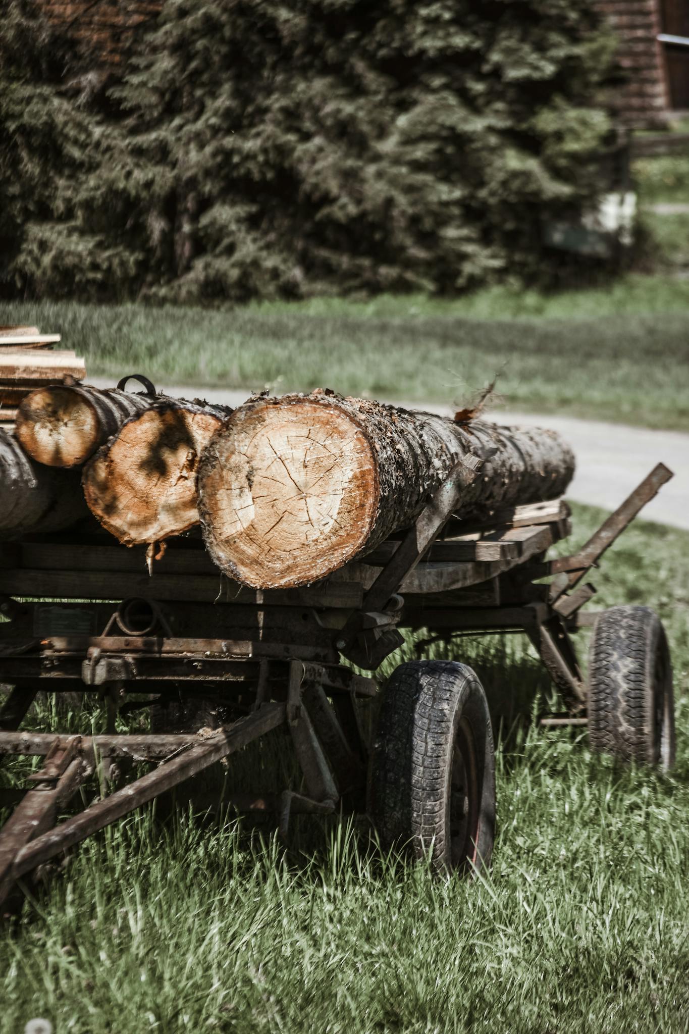 A vintage cart loaded with logs sits in a grassy field, showcasing rustic charm.