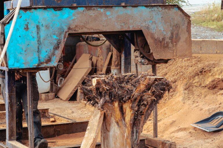 Close-up of a logging machine in action cutting a large tree stump outdoors.